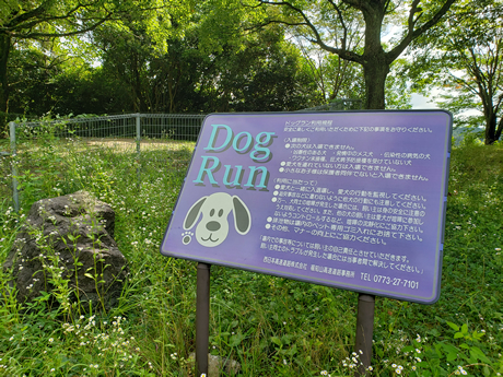 ドッグラン